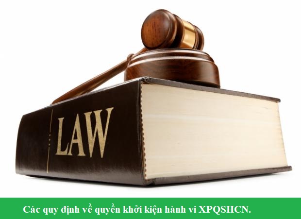 Các quy định về quyền khởi kiện hành vi XPQSHCN Các quy định về quyền khởi kiện hành vi XPQSHCN